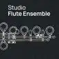 VSL Flute Ensemble VST licentiecode
