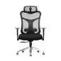 Wavebone Viking Studio Chair