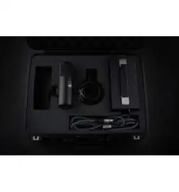 Warm Audio WA-8000