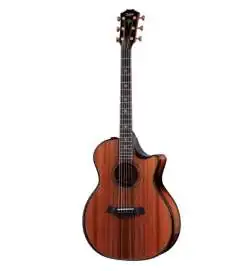 Taylor Builder s Edition 914ce