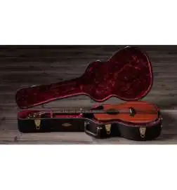 Taylor Builder s Edition 914ce