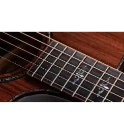 Taylor Builder s Edition 914ce