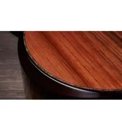 Taylor Builder s Edition 914ce