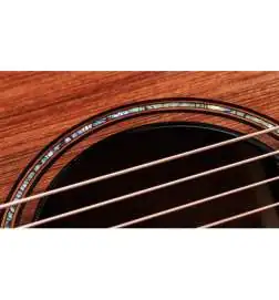 Taylor Builder s Edition 914ce