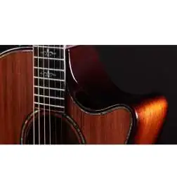 Taylor Builder s Edition 914ce