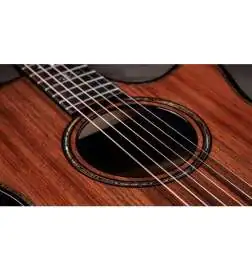 Taylor Builder s Edition 914ce