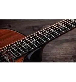 Taylor Builder s Edition 914ce