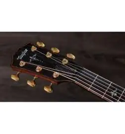 Taylor Builder s Edition 914ce