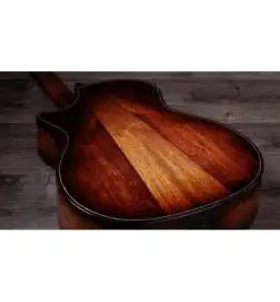 Taylor Builder s Edition 914ce