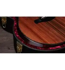 Taylor Builder s Edition 914ce
