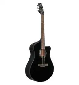 Ibanez AAM340CE-RUB