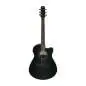 Ibanez AAM340CE-RUB