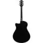 Ibanez AAM340CE-RUB