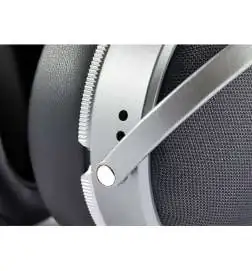 Audeze LCD-S20