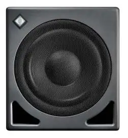 Neumann KH 810 II AES67