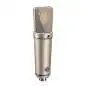 Neumann U 89 i ni Condensor Microfoon