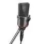 Neumann TLM 170 R mt Condensor Microfoon Neumann TLM 170 R mt Condensor Microfoon