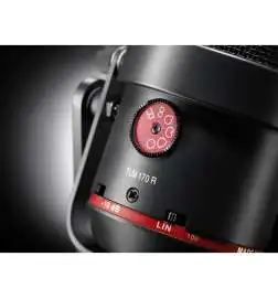 Neumann TLM 170 R mt Condensor Microfoon