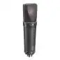 Neumann U 89 i mt Condensor Microfoon