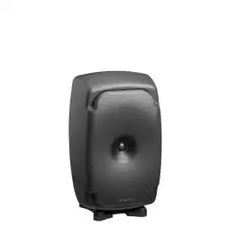 Genelec 8361 AP monitor da studio attivi