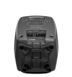 Genelec 8361 AP monitor da studio attivi