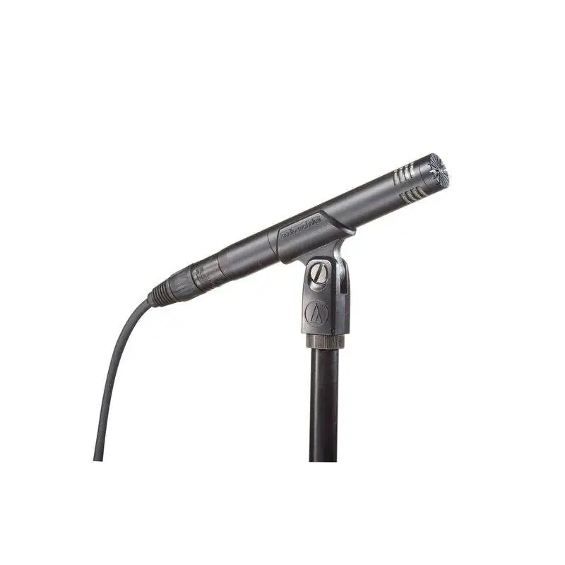 Audio-Technica AT2031 Condenser microphone