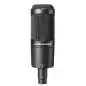Audio-Technica AT2050 Microfono a condensatore
