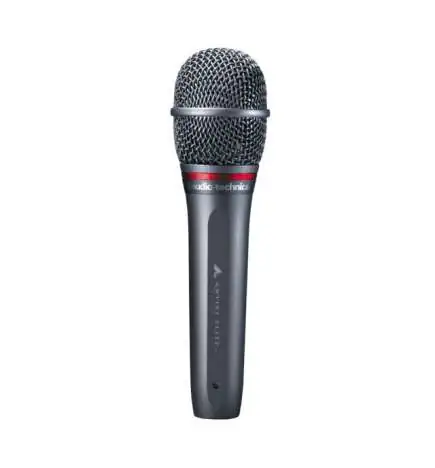 Audio-Technica AE6100