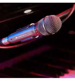 Audio-Technica AE6100 Handheld Mic Dynamic