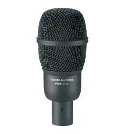 Audio-Technica PRO25AX Instrumentenmicro, nier