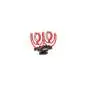 Rode VideoMic NTG