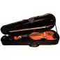 Gewa Violingarnitur Allegro 3/4