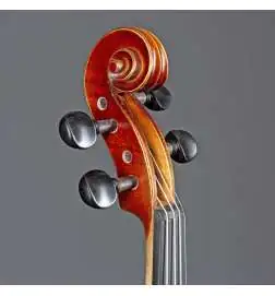Gewa Violingarnitur Allegro 4 4 CB Softcase