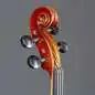 Gewa Violingarnitur Allegro 4/4 CB Softcase Gewa Violingarnitur Allegro 4/4 CB Softcase