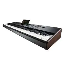 Korg Pa5X 88 keyboard