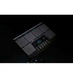 Korg MPS-10 Percussion Sample Pad