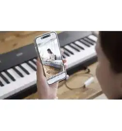 Korg PianoRec