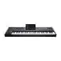 Korg Pa5X 61 keyboard Korg Pa5X 61 keyboard