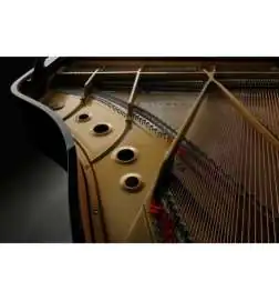 Kawai GL- 10 E P