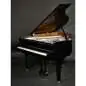 Kawai GL 10 E/P Silber Kawai GL 10 E/P Silber