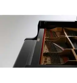 Kawai GL- 30 E/P