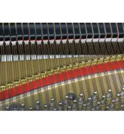 Kawai GL- 30 E/P