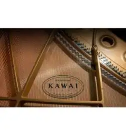 Kawai GL- 30 E/P
