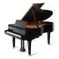 Kawai GX 5 E/P