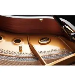 Kawai GX 7 E P