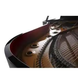 Kawai GX 6 E P
