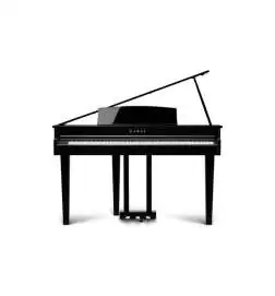 Kawai DG-30 Digitale vleugel