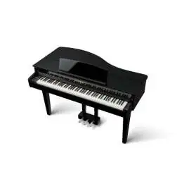 Kawai DG-30 Pianoforte digitale a coda