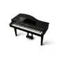 Kawai DG-30 Pianoforte digitale a coda
