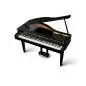 Kawai DG-30 Pianoforte digitale a coda